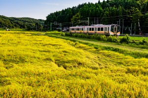 04 秋優秀賞「今年の出来は良」　上杉正春